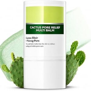 DR.MELAXIN Cactox Pore Relief Multi Balm 25g